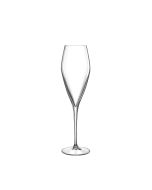 Luigi Bormioli Atelier 9.25 oz Champagne Glass  - Set of 6