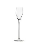 Set of Four Ranelagh Champagne Flutes - Clear