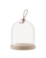 LSA  Ivalo Dome & Ash | 6" x 6"