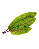Veritable® Lingot Seed Pod | Sorrel