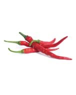 Veritable® Lingot Seed Pod | Cayenne Hot Chili