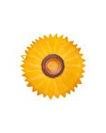 Charles Viancin Sunflower Silicone Lid Gift Set