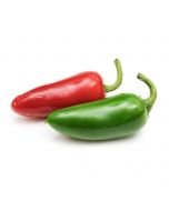 Veritable® Lingot Seed Pod | Jalapeño Hot Chili