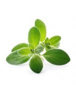 Veritable® Lingot Seed Pod | Organic Marjoram