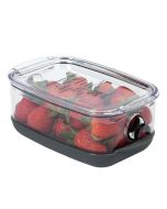 Progressive ProKeeper Plus Berry Container 