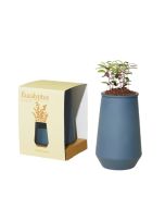 image shows Modern Sprout Tapered Tumbler | Eucalyptus  against a blank, white background