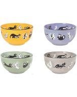 image shows Danica Jubilee Everyday Bowls (Set of 4) | Meow & Furever against a blank, white background