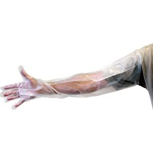 LEM Shoulder Length Poly Gloves - 6 Pair (LEM083)