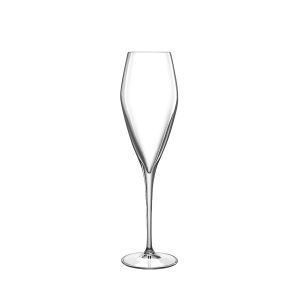 Luigi Bormioli Atelier 9.25 oz Champagne Glass  - Set of 6