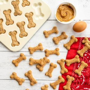 Nordic Ware Homemade Dog Treat Mix