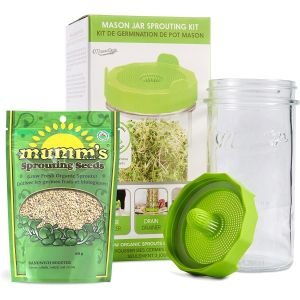 Masontops Bean Sprouting Starter Kit With Jar