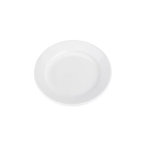 9.5" Luncheon Plate