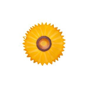 Charles Viancin 6” Sunflower Silicone Lid

