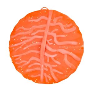image shows Charles Viancin Coral Lid | 11" against a blank, white background  