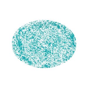 Crow Canyon 17.5" Oval Platter | Turquoise