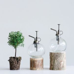 Creative Co-Op Glass Plant Mister