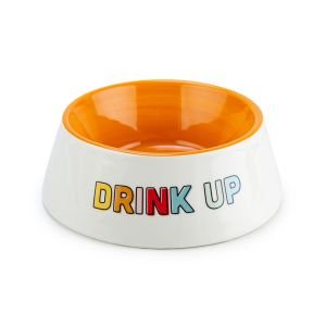 C.R. Gibson Ceramic Pet Bowl | Drink Up