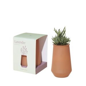  image shows Modern Sprout Tapered Tumbler | Lavender against a blank, white background