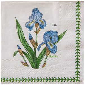 C.R. Gibson Beverage Napkins | Spode Garden Florals