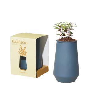 image shows Modern Sprout Tapered Tumbler | Eucalyptus  against a blank, white background
