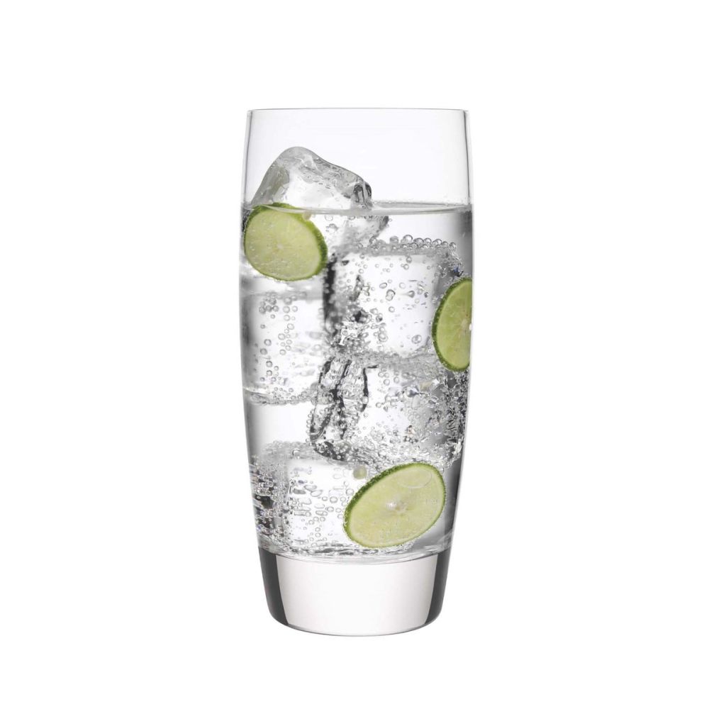 Luigi Bormioli Michelangelo Masterpiece Highball Glasses