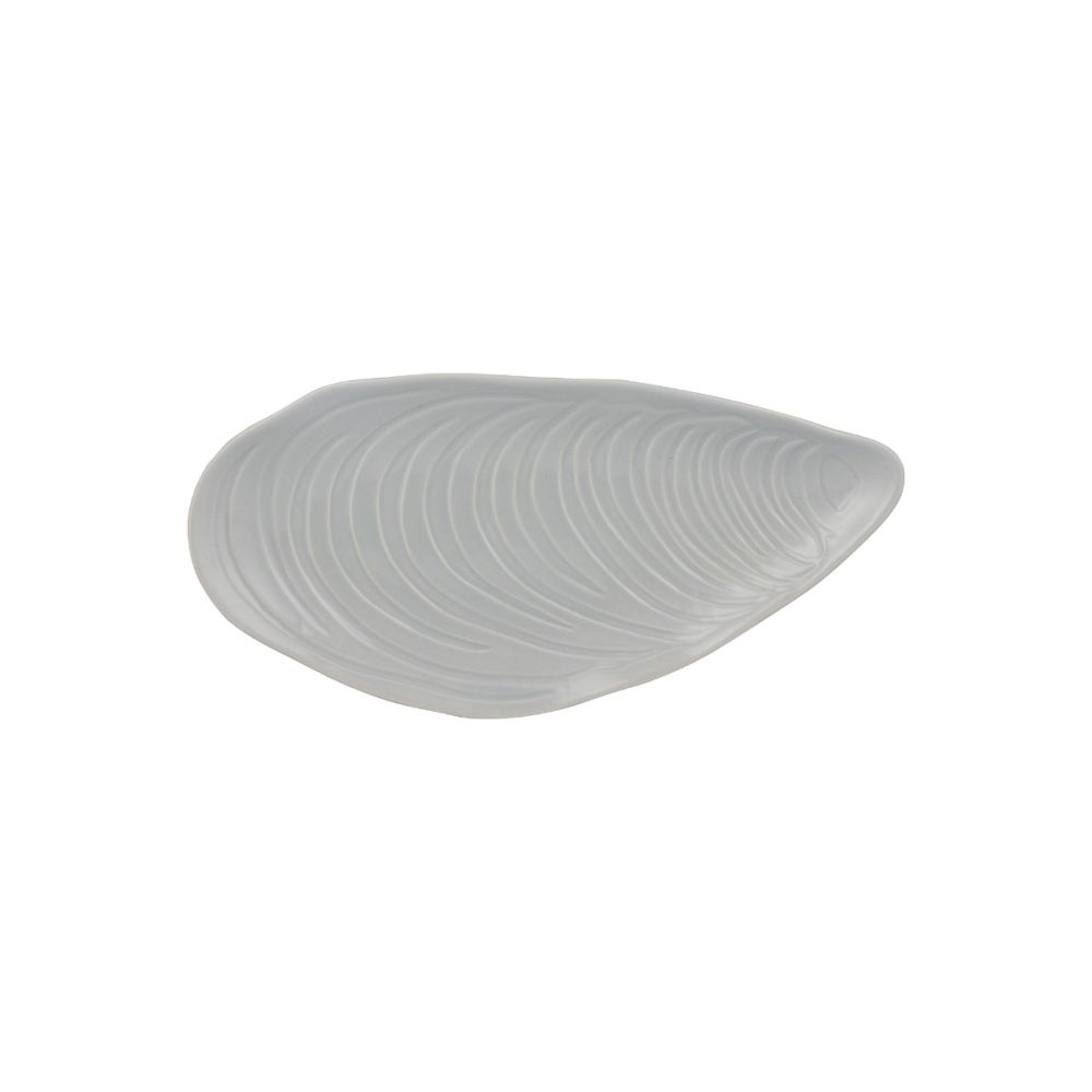 gray seashell dish free image