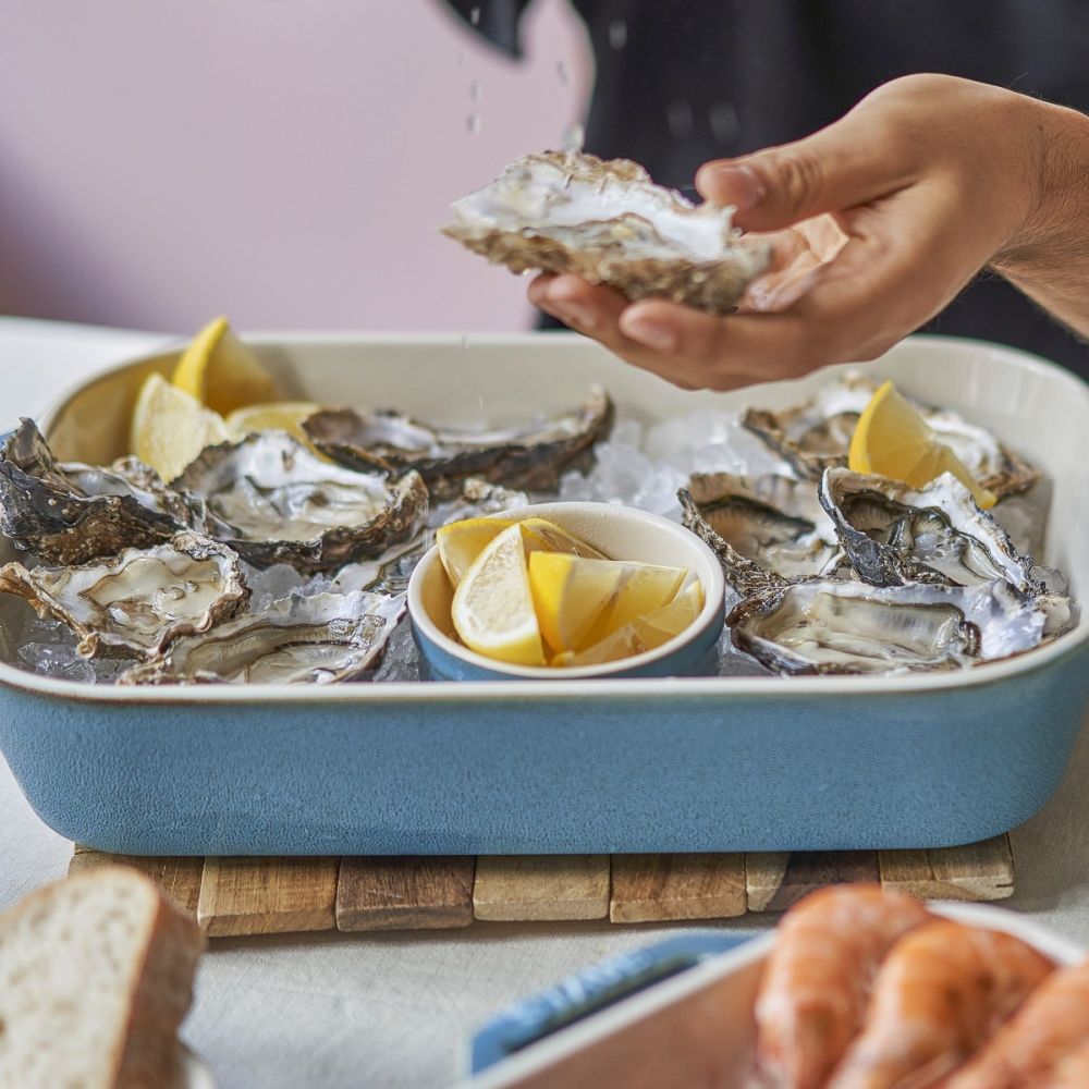 Gas Barbecue Family Weber Q 3200 Gas Barbecue Weber Q Family Best