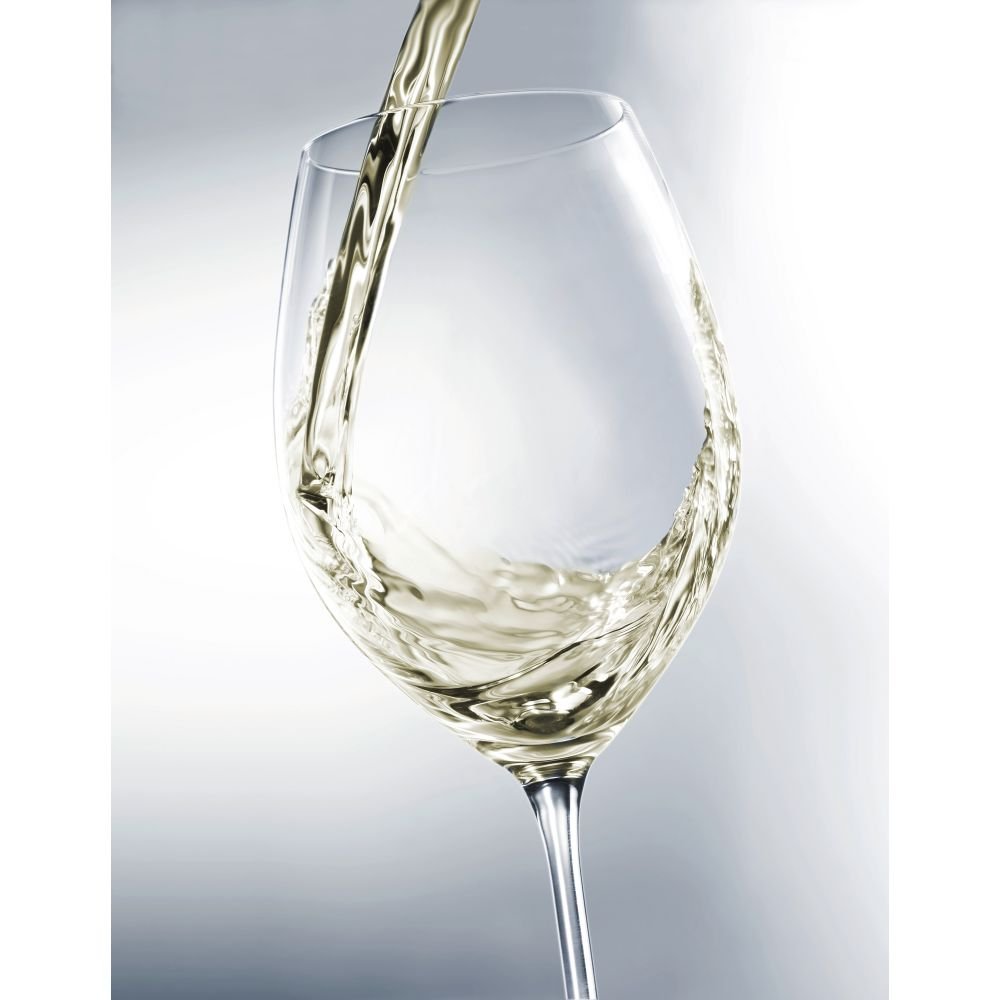Kritisch heuvel doorgaan met Fortessa Cru Classic White Wine Glasses by Schott Zwiesel (Set of 8) |  Everything Kitchens