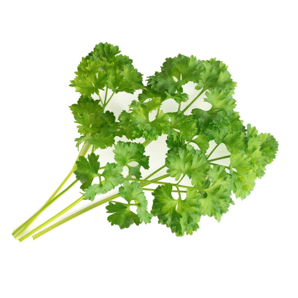 ORGANIC GARDEN CRESS LINGOT®, VERITABLE® GARDEN