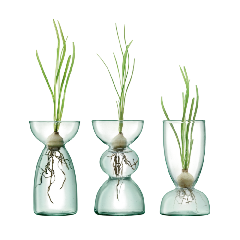 LSA International Canopy Vase - Thumbnail 2