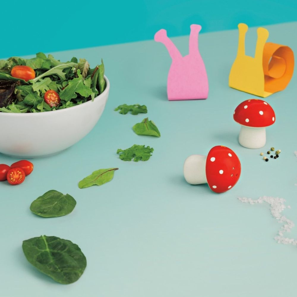 Mushroom Salt & Pepper Set (Toadstool) | Danica Jubilee