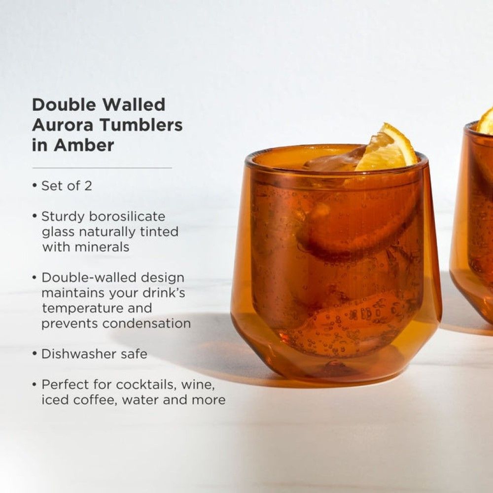 Viski Double-Walled Rocks Glasses