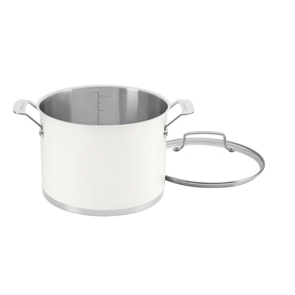 Matte White Stainless Steel Stockpot with Cover (6 Qt