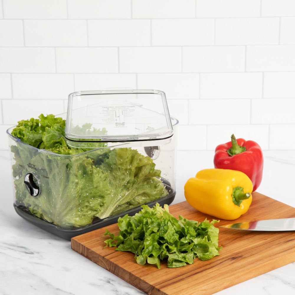 Progressive ProKeeper Plus Large Produce Container | 5.7 Quart