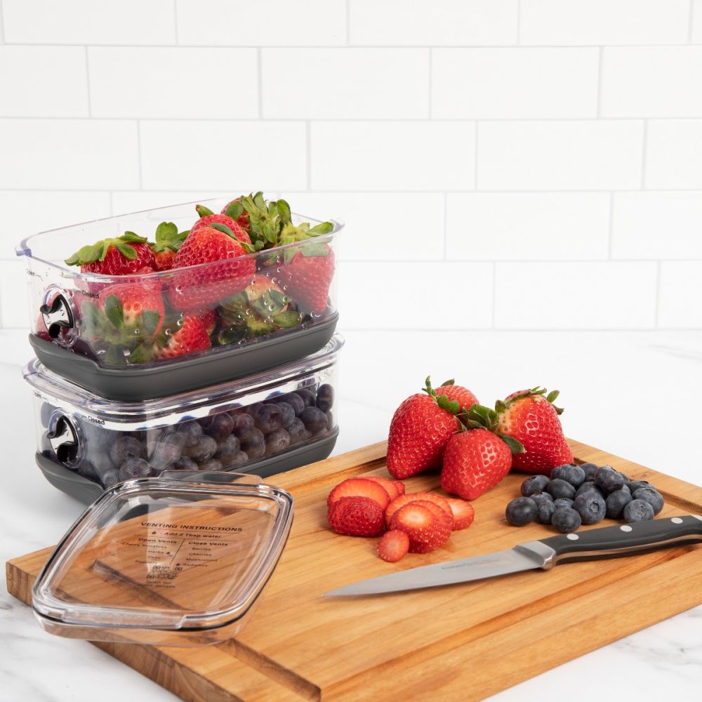 Progressive ProKeeper Plus Berry Container