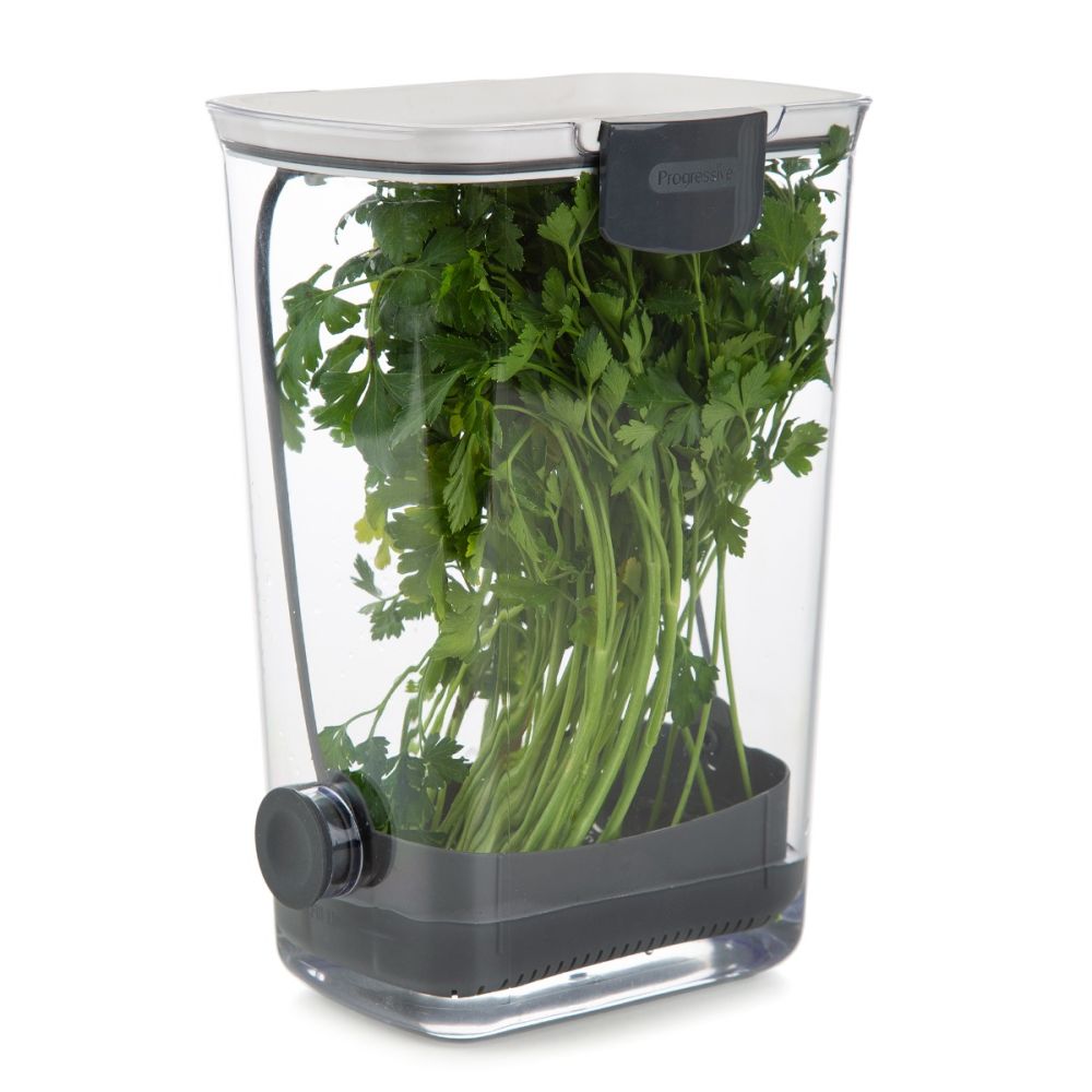 Progressive Prepworks Lettuce Keeper