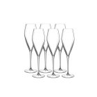 Luigi Bormioli Atelier 9.25 oz Champagne Glass  - Set of 6