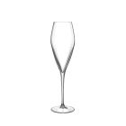 Luigi Bormioli Atelier 9.25 oz Champagne Glass  - Set of 6 Image
