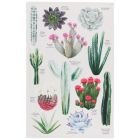 Now Designs 18" x 28" Printed Dishtowel | Botanical Cacti