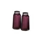 Mosser Glass Panel Salt and Pepper Shakers - Amethyst 