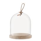 LSA  Ivalo Dome & Ash | 6" x 6" Image