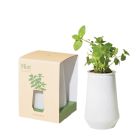 image shows Modern Sprout Tapered Tumbler | Mint  against a blank, white background Image