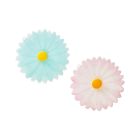 Charles Viancin Silicone Daisy Drink Covers | Set of 2
