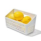 image shows OXO Good Grips Produce Saver | Crisper Basket  against a blank, white background Image