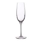 image shows Luigi Bormioli Crescendo Champagne Flute Glasses (Set of 4) | 8.25oz against a blank, white background Image