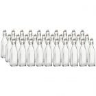 Bormioli Rocco 17oz Swing Top Glass Bottles | 30-pack