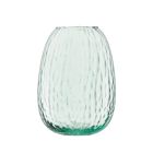 image shows Enjoy Exclusive Savings + FREE Shipping Every Day! against a blank, white background Image