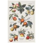 image shows Now Designs by Danica Dishtowel Apple Orchard against a blank white background Image
