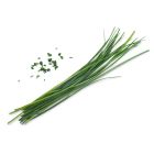 Chinese Chives box on a white background Image