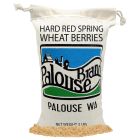 image shows Palouse Hard Red Spring Wheat | 3 lb Bag  against a blank, white background Image